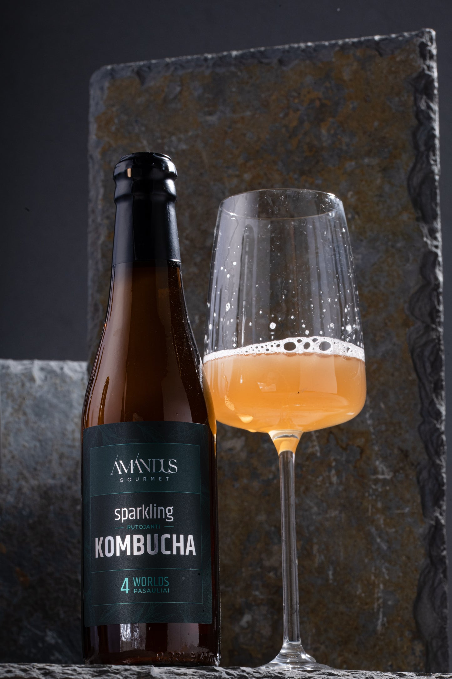 Kombucha "4 worlds"